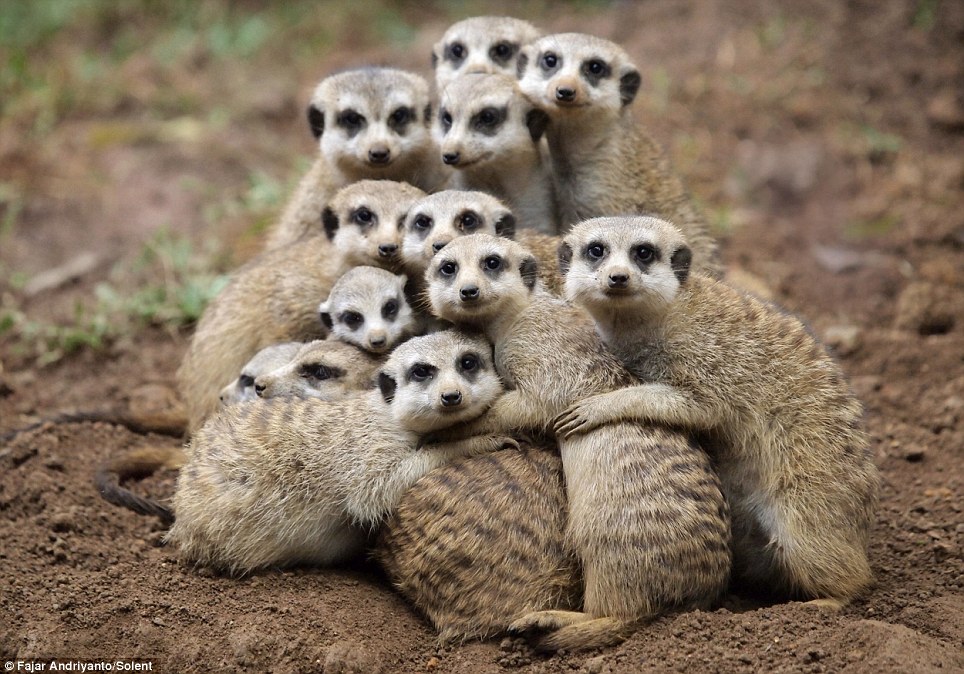 Group Hug