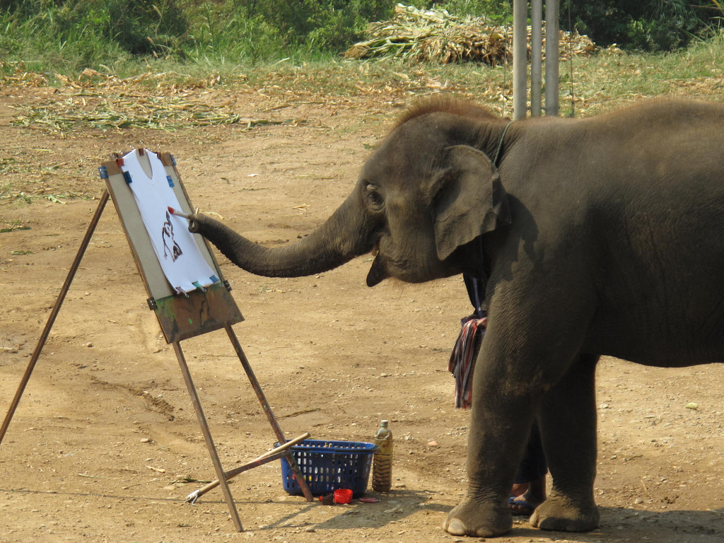 Elephant Painting