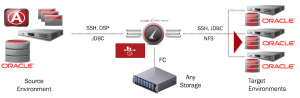 Delphix Architecture